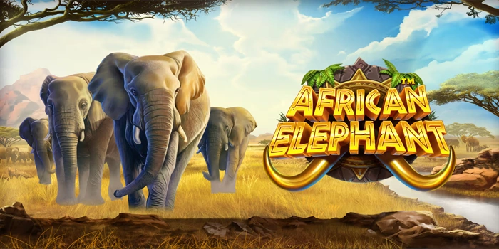 Ketajaman Pikiran Membaca Volatilitas Slot African Elephant Ketajaman Pikiran Membaca Volatilitas Slot African Elephant